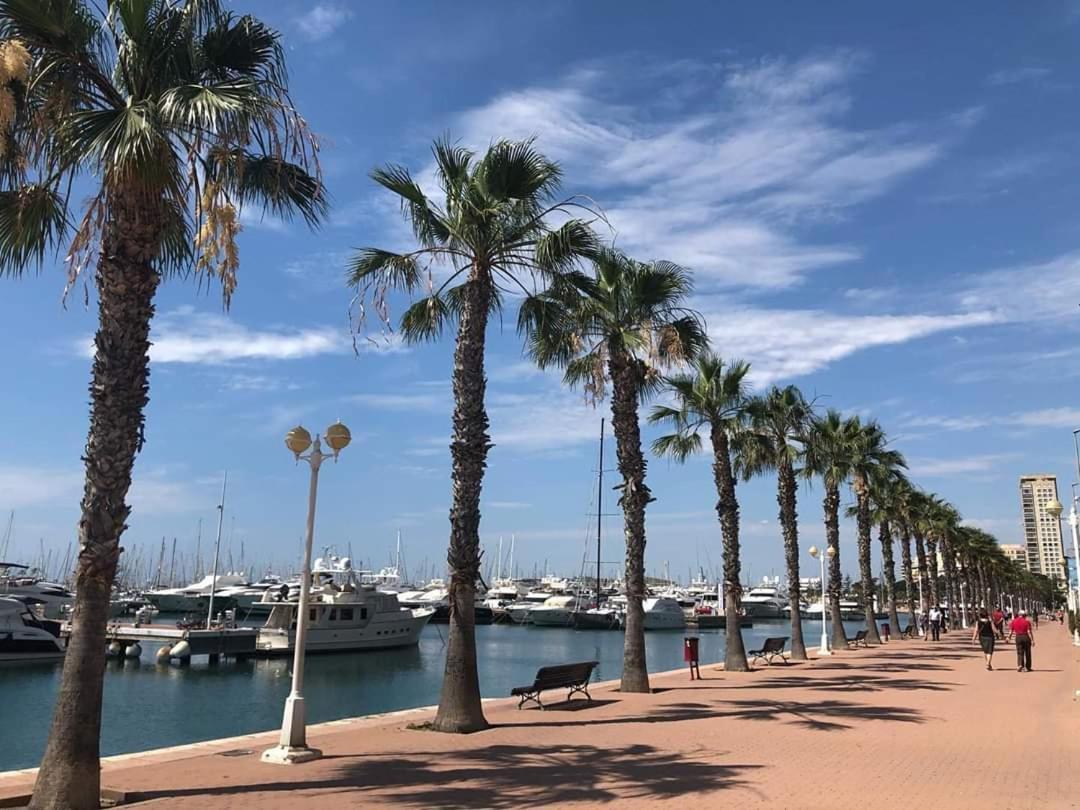 Casaturis Plaza Nueva En El Centro De Alicante A110 エクステリア 写真